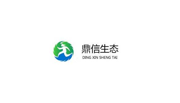 致力于解决水污染问题的环保企业：鼎信生态 decent holding limited（dxst）